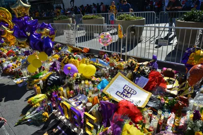 DSC_7128 (Large).JPG